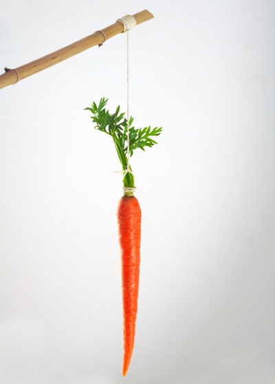 dangling carrot