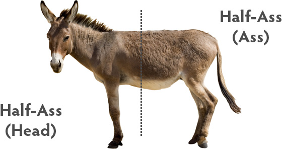 Half-Ass + Half-Ass = Donkey